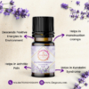 Kashmiri Lavender Essential Oil
