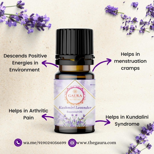 Kashmiri Lavender Essential Oil
