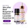 Lavender Essential Oil